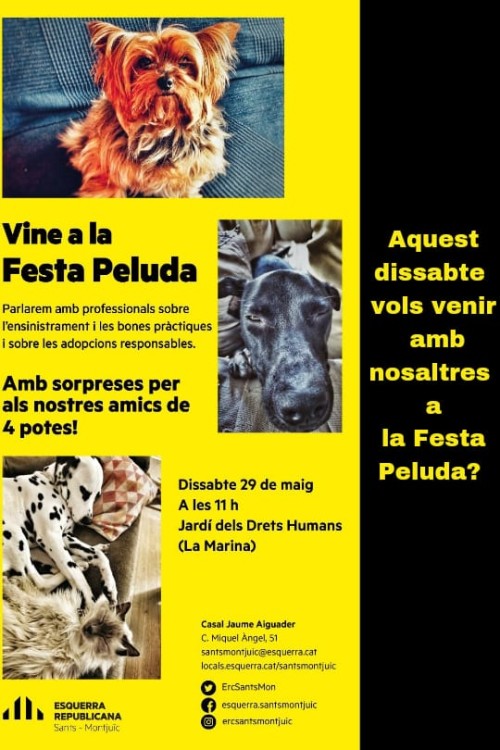 Imatge destacada
